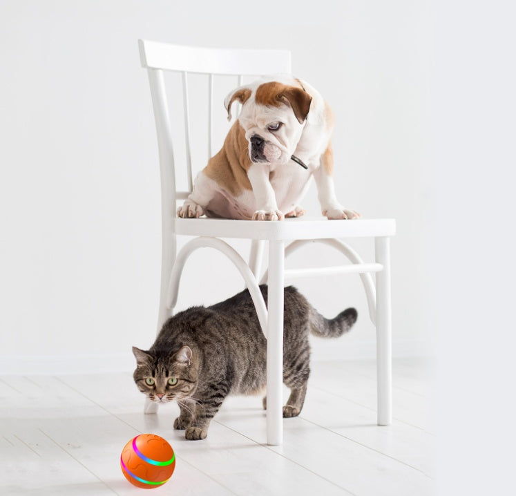 Automatischer Katzenball – USB wiederaufladbar