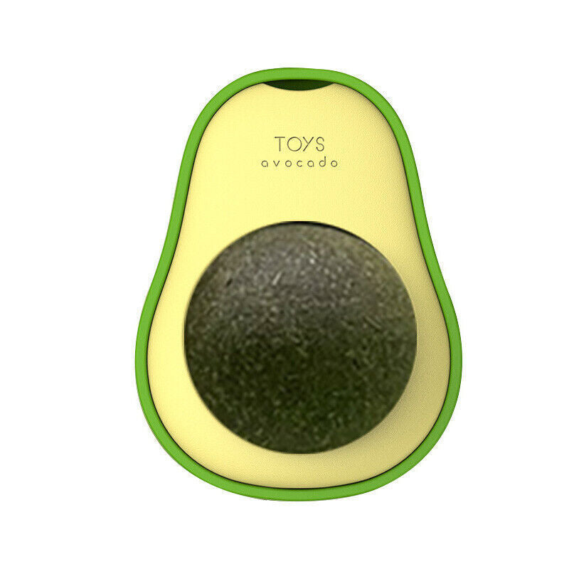 Avocado Katzenminze Spielzeug – Zahnpflege & Spaß