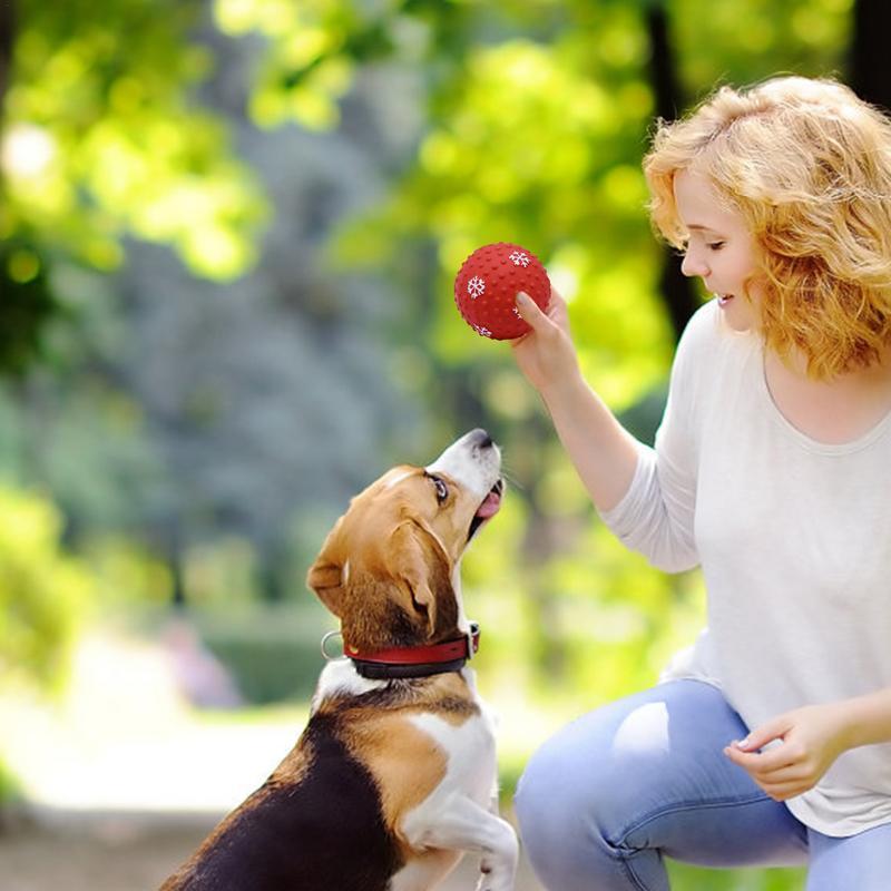 Hundespielzeug Bälle | Interaktiv, zahnfreundlich & festlich für Hunde und Welpen